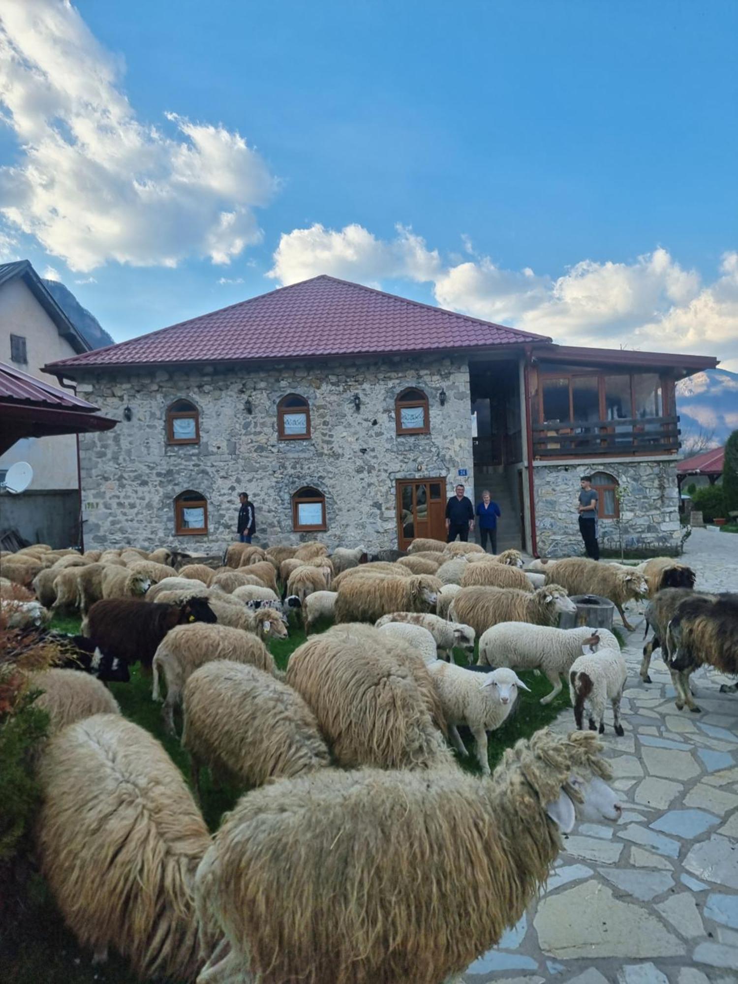 Ethno Katun Rosi Agrotourism Hotel Gusinje Luaran gambar