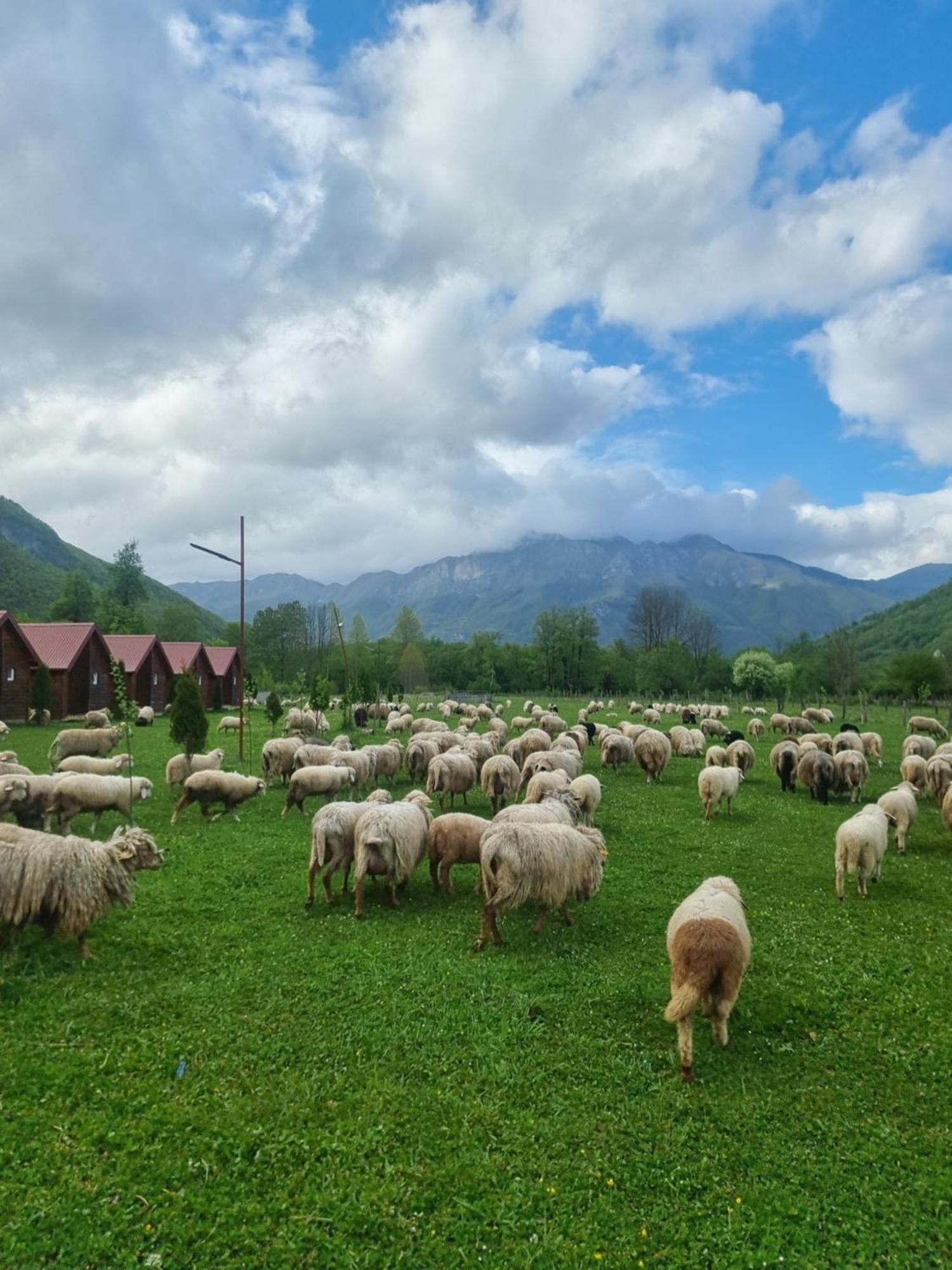 Ethno Katun Rosi Agrotourism Hotel Gusinje Luaran gambar